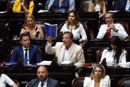 El diputado Oscar Zago durante el debate por la ley ómnibus.