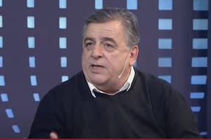 Negri habló sobre la interna en Juntos por el Cambio e hizo una dura autocrítica