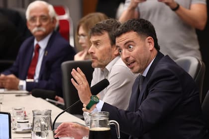 El diputado radical cordobés Rodrigo de Loredo