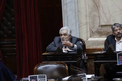 El diputado Sergio Acevedo durante el debate por la Ley Bases, en el Congreso de la Nación