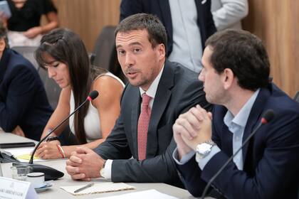 El director de la Agencia Nacional de Puertos y Navegación, Iñaki Arreseygor, en la Comisión de Transporte de Diputados