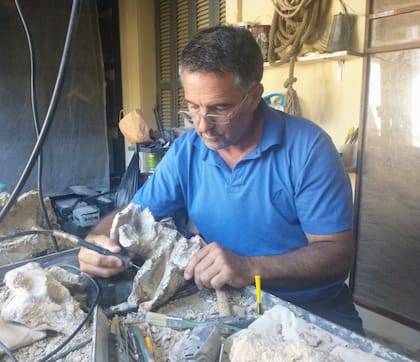 El director del museo, José Luis Aguilar, en plena limpieza de la mandíbula del armadillo