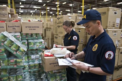 El director del puerto destacó el rol de la tecnología para identificar el material ilícito