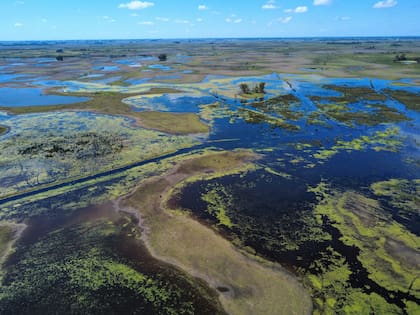 El dirigente señaló que la decisión impacta especialmente en zonas bajo el agua: “Las boletas de la cuota adicional ya están llegando a 9 de Julio y a un montón de distritos que tienen problemas de inundación. La verdad que no lo terminamos de entender”