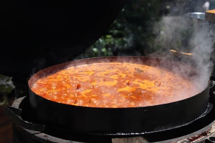 El disco de arado en plena acción