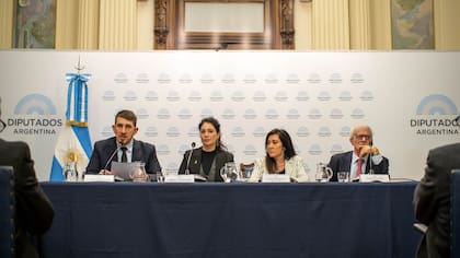 El discurso de Berenstein, en el homenaje en el Congreso a las víctimas del atentado contra la AMIA