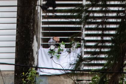 El disidente Yunior García muestra una flor desde la ventana de su casa