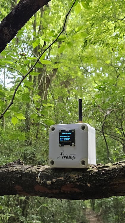 El dispositivo creado por Sergio Moya para detectar disparos en la selva