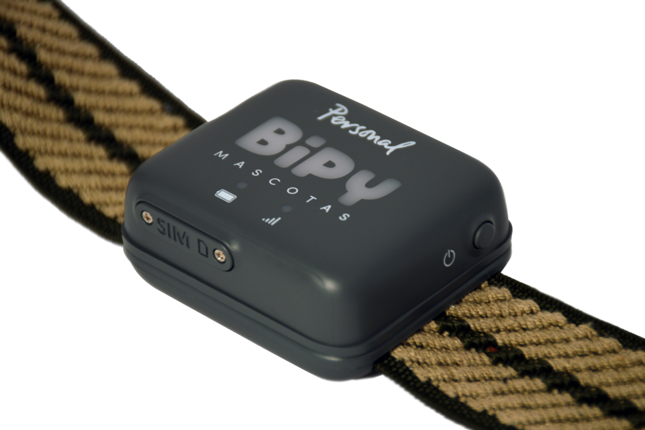 Personal presento Bipy Mascotas el collar con GPS y 4G para localizar mascotas LA NACION