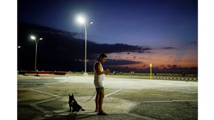 El doctor Alejandro Soto junto a su perro Coco utiliza su teléfono para conectarse a internet en La Habana
