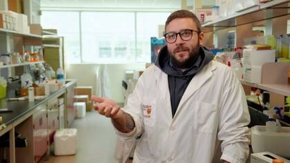 El doctor Jonathan Stokes describe a la superbacteria Acinetobacter baumannii como el "enemigo público número uno"