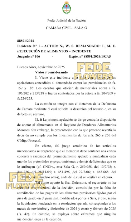 El documento oficial compartido por la pantalla de DDM (América Tv), que confirma que Mauro Icardi ingresó a la lista de deudores alimentarios