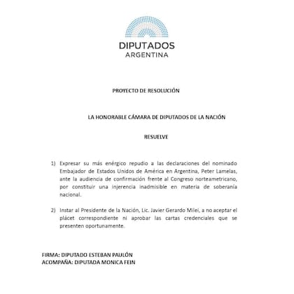 El documento presentado por Paulón y Fein
