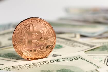 El dólar bitcoin se puede comprar a $310,18