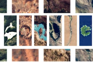 Así es el doodle que celebra el Día de la Tierra