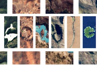 Así es el doodle que celebra el Día de la Tierra