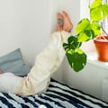 Las cinco mejores plantas para tu habitación, según un experto en jardinería