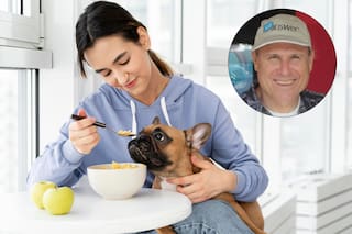 Dr. Michael Salkin, veterinario de California, revela si los perros pueden comer guayaba