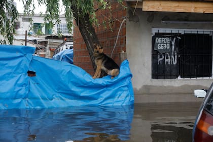 Familias enteras debieron abandonar sus hogares sin ninguna pertenencia