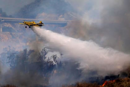 En la zona de Punilla las llamas afectaron más de 700 hectáreas en la Estancia El Rosal, en Falda del Cañete