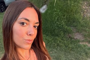 Qué es la pulpitis aguda, el problema de salud que afecta a Floppy Tesouro