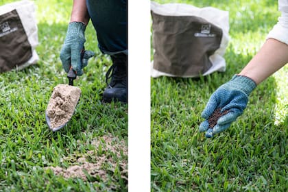 El dressing, junto con el fertilizante adecuado, mejorarán las condiciones del suelo para lograr un césped sano
