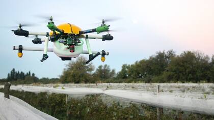 El drone diseñado por Sequeiros y Bollati