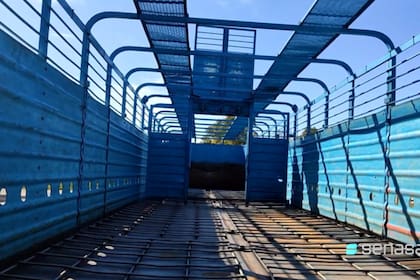 El DT-e es un instrumento clave