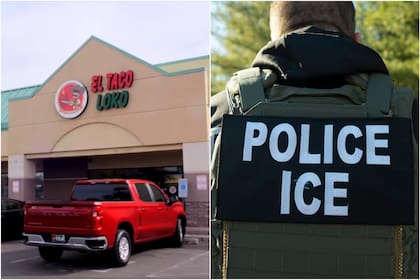 El dueño de El Taco Loko, en Phoenix, arrestado por contratar migrantes ilegales