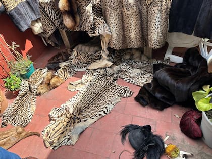 El dueño de la propiedad donde encontraron las prendas se encuentra de viaje en Europa