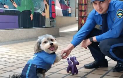 El dueño del perro se encargó de confeccionar a mano cada uno de sus atuendos