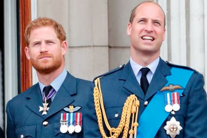 El duke de Sussex y el segundo en línea sucesoria al trono, juntos en sus trajes de gala