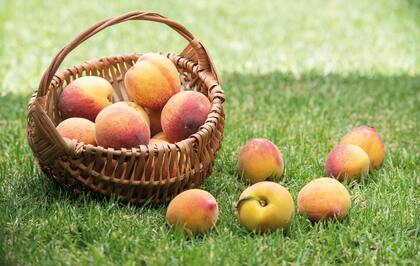 El durazno aporta fibra, potasio y vitamina C, componentes que evitan la fatiga muscular.