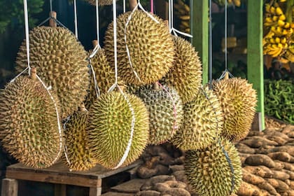 El Durio zibethinus es un fruto común en Asia (Foto Pexels)