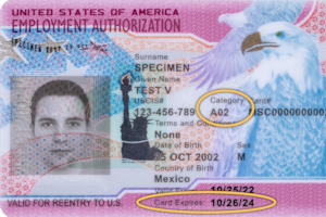 Cambio en los permisos de trabajo: la regla federal que limita la validez de los documentos migratorios