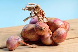 El echalotte tiene múltiples beneficios para la salud
