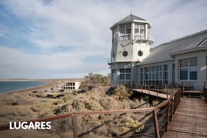 5 planes para disfrutar de la ciudad que tiene mucho más que ballenas