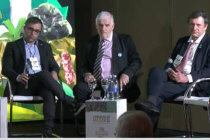El economista Federico Furiase; el exsecretario de Bioeconomía, Fernando Vilella, y el presidente de Maizar, Federico Zerboni