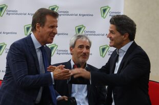 El economista participó junto a un panel con Marina Dal Poggeto, Luciano Laspina y Andrés Edelstein