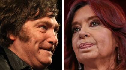 El economista y diputado por La Libertad Avanza, Javier Milei, y Cristina Kirchner, que criticó a Domingo Cavallo