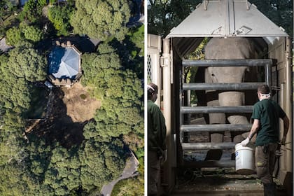 Vista aérea del templo hindú de elefantes del Ecoparque de Buenos Aires y uno de los cuidadores de Mara haciendo entrenamiento con la elefanta en su caja de traslado un día antes de emprender el viaje.