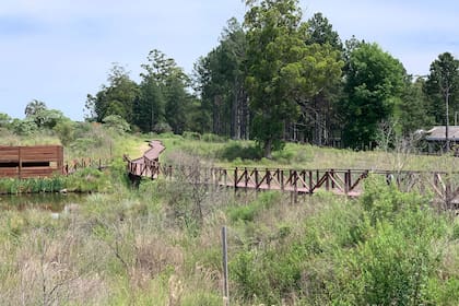 El Ecoparque de Salto Grande apunta que a quienes lo visitan, lo aprecien a través de diferentes estímulos, desde caminatas en medio del paisaje, hasta juegos de madera y un anfiteatro.