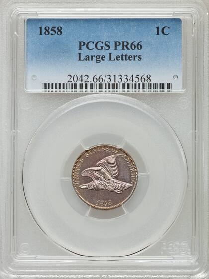 El ejemplar fue calificado como PR66 debido a su buen estado de conservación