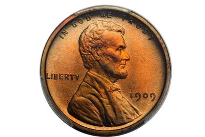 El ejemplar fue vendido en $20.400 dólares en una subasta en línea