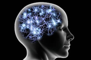 Una neurocientífica revela qué “juegos”  fortalecen el cerebro, estimulan las neuronas y previenen el Alzheimer