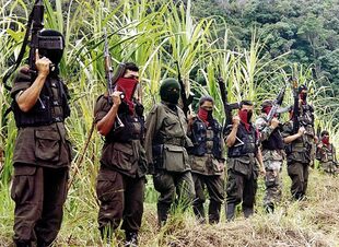 El Ejército de Liberación Nacional de Colombia surgió del cisma del Partido Comunista en el país, que dio lugar a una rama maoísta