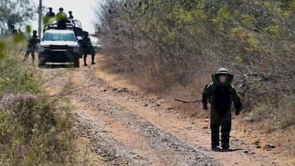 El Ejército mexicano desactivó cientos de minas en los alrededores de Aguililla, Michoacán