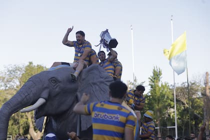 El elefante es un buen símbolo de Hindú, un gigante del rugby local.