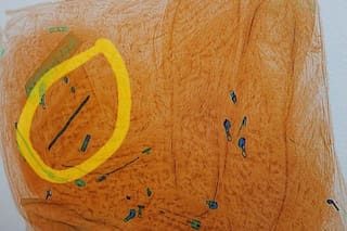 De un salamín hasta un jabón y unas zapatillas: frustran ingresos de droga, armas caseras y celulares en penales