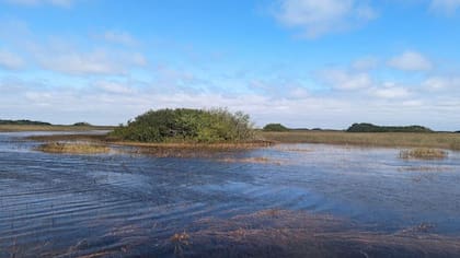 El embalse que se construye en los Everglades tendrá la dimensión de la isla de Manhattan